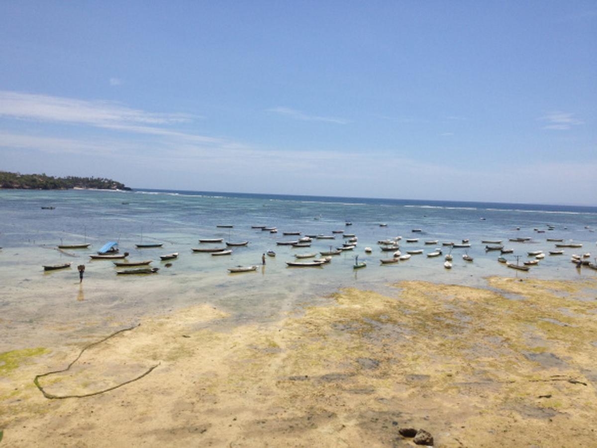 蓝梦岛 伦邦岸旅舍旅舍 外观 照片